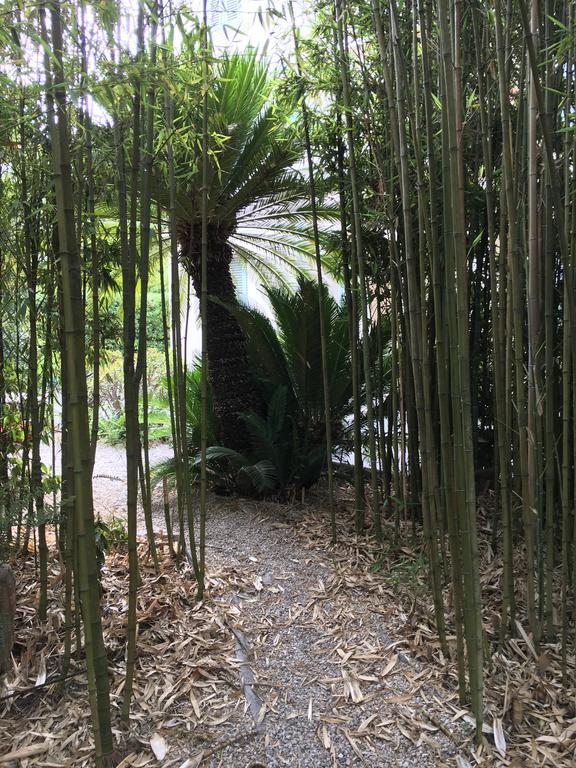 Apartment Villa Anahit ニース エクステリア 写真